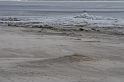 IMG_8932 (Resize)